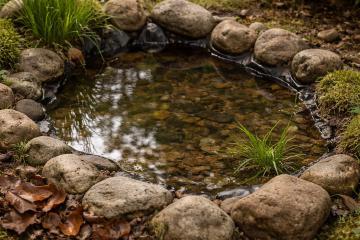 Kleiner naturnaher Gartentümpel mit Steinen und Wasserpflanzen