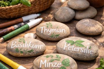 Bemalte Steine mit Kräuternamen als Pflanzschilder im Beet