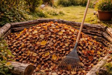 Herbstlaub im Garten unter Sträuchern und auf dem Boden verteilt