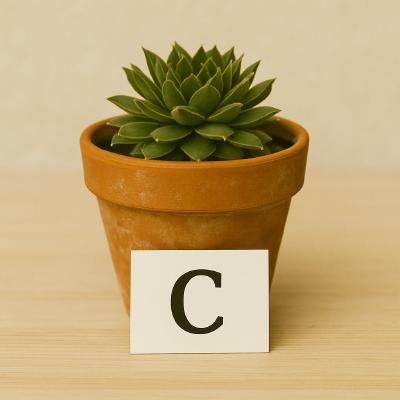 Buchstabe C