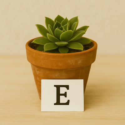 Buchstabe E