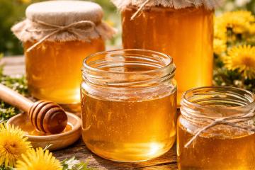 Selbstgemachter Löwenzahn-Sirup in Gläsern mit frischen Blüten