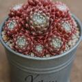 Sempervivum-Sorte Xerxes im Pflanztopf